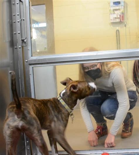 Chesapeake spca - May 7, 2021 · CHESAPEAKE, Va. (WAVY) — The Chesapeake Humane Society will soon have a second home. It’s thanks to a generous donation from an animal hotel that recently shut its doors. 